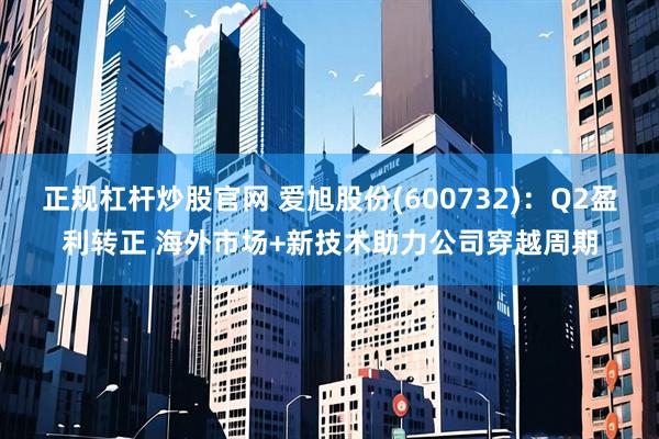 正规杠杆炒股官网 爱旭股份(600732)：Q2盈利转正 海外市场+新技术助力公司穿越周期