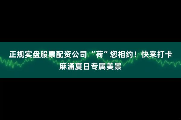 正规实盘股票配资公司 “荷”您相约！快来打卡麻涌夏日专属美景
